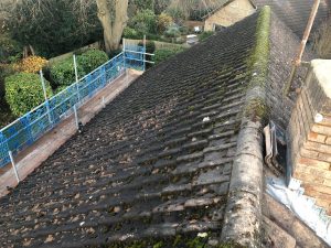 Kent & East Sussex moss removal company