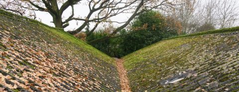 Moss Removal in Kent & East Sussex