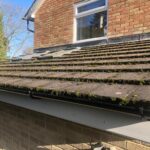 Moss removal services in Kent & East Sussex