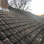 Moss removal contractors in Kent & East Sussex