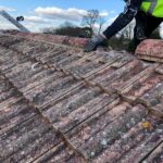 Moss removal contractors near me in Kent & East Sussex